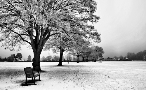 Snowy walk Berkhamsted Hertfordshire. UK